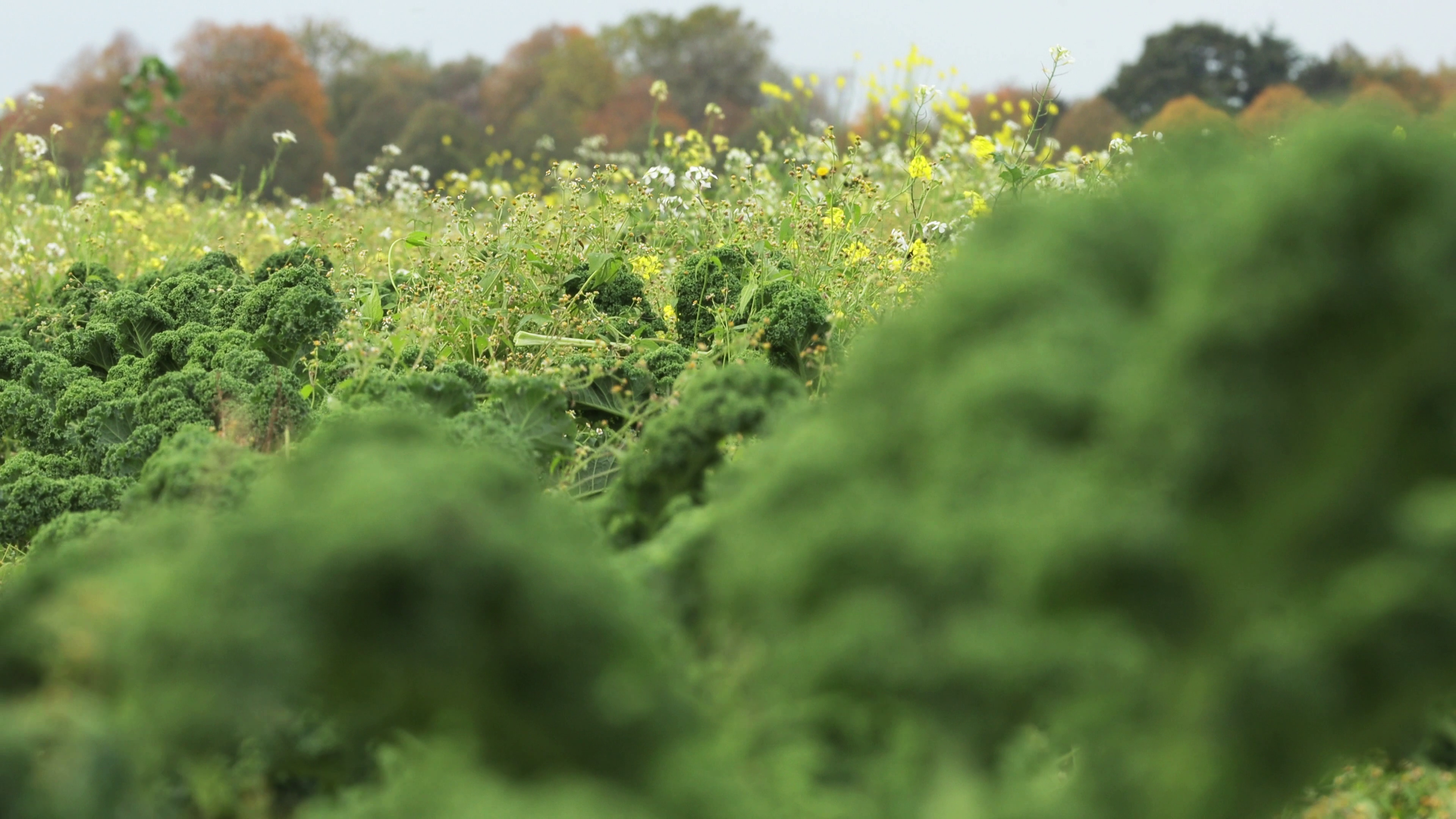 Naturverträgliche Landwirtschaft aktiv voranbringen