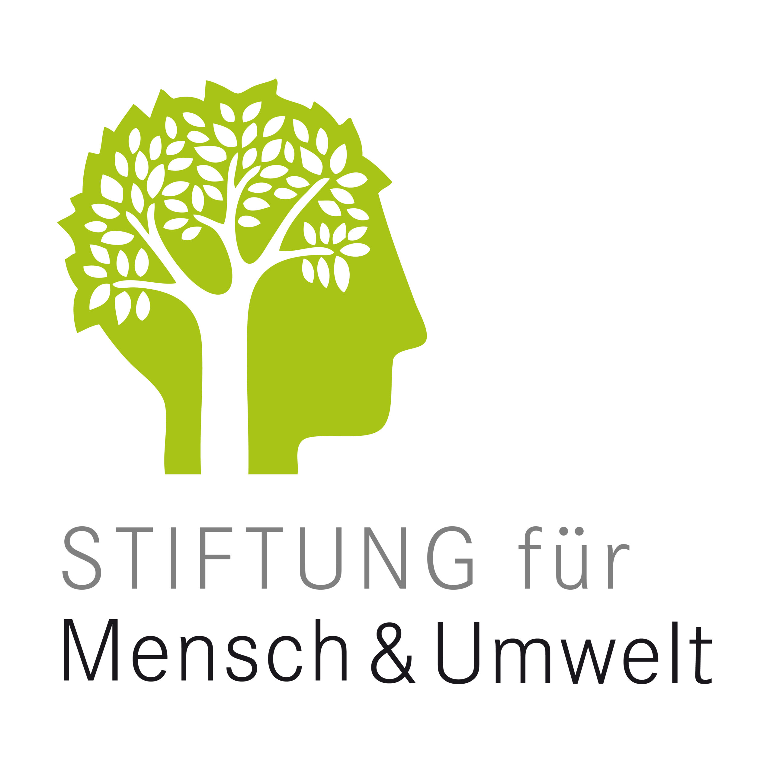 Logo Stiftung für Mensch und Umwelt